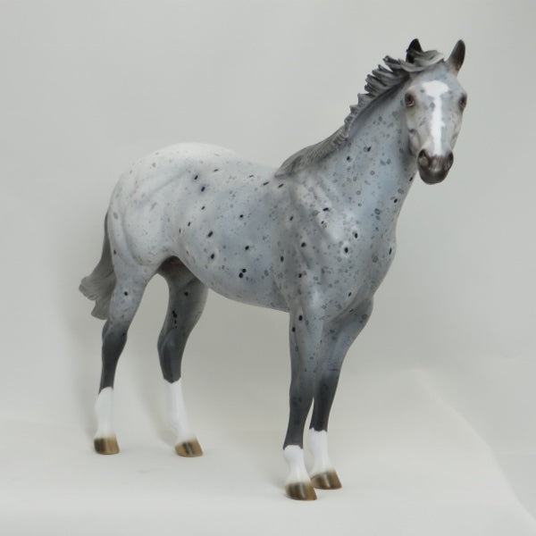 ONTARIO - OOAK Appaloosa Stock Horse 4/15