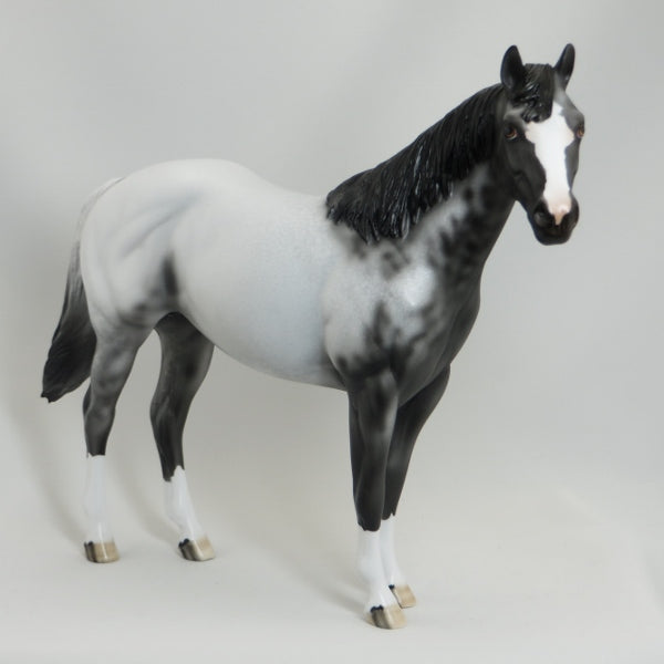 BOSTON POPS - OOAK Scraggly Mane Appaloosa Stock Horse 5/15