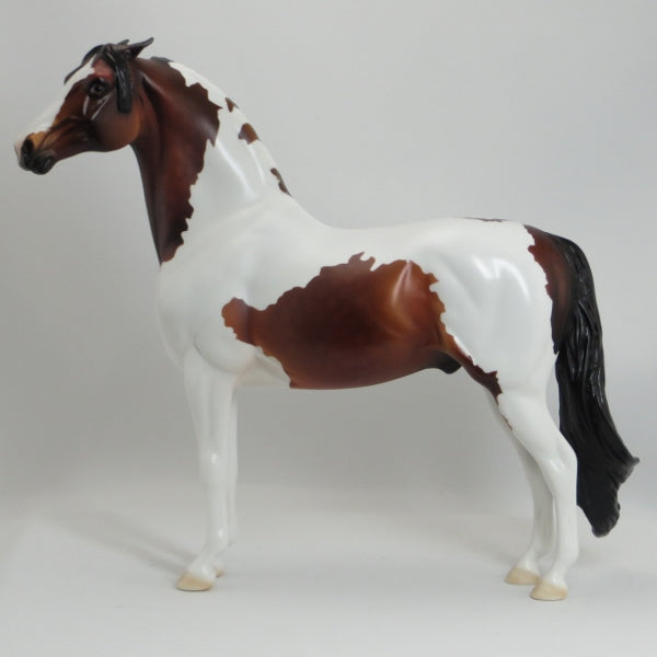 MIKA RACCOON - OOAK Dapple Bay Pinned Ear Pinto Morgan Model Horse - 5/15