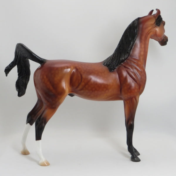 RATHORE - Extreme Dapples Bay Marwari Arabian Model Horse - LE4 - 5/15
