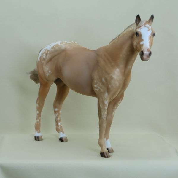 HATCH - OOAK Palomino Appaloosa Stock Horse 3/15