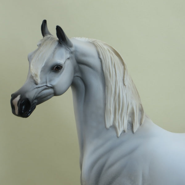 SALTWATER - OOAK Gray with Black Points Arabian 3/15