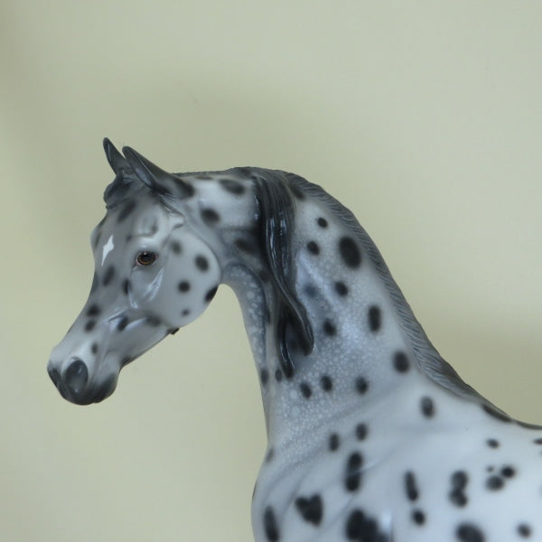 DULUTH - OOAK Leopard Appaloosa Arabian 4/15