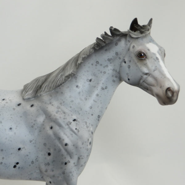ONTARIO - OOAK Appaloosa Stock Horse 4/15