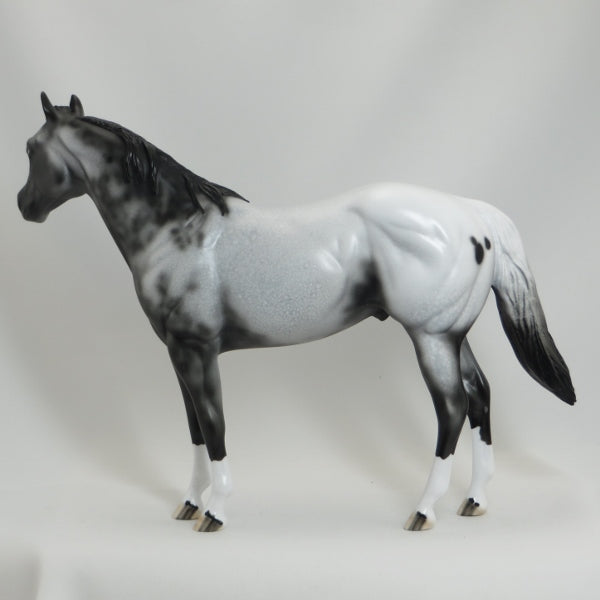 BOSTON POPS - OOAK Scraggly Mane Appaloosa Stock Horse 5/15