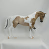 FIVE STAR - OOAK Dapple Buckskin Pinto Thoroughbred by D&#39;Array Jone Frank - 5/15