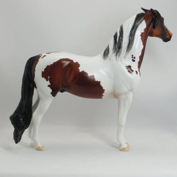 MIKA RACCOON - OOAK Dapple Bay Pinned Ear Pinto Morgan Model Horse - 5/15