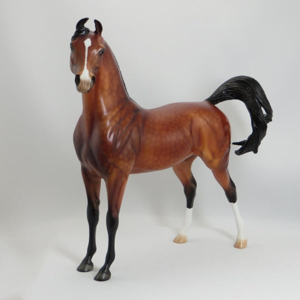 RATHORE - Extreme Dapples Bay Marwari Arabian Model Horse - LE4 - 5/15