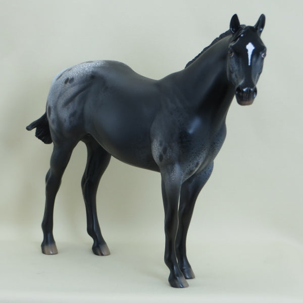 STORM OVER INDIANA - OOAK Black Appaloosa Stock Horse 3/15