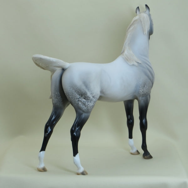SALTWATER - OOAK Gray with Black Points Arabian 3/15