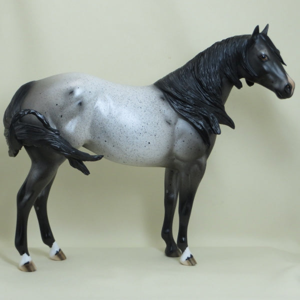 ALLIGATOR SKY - OOAK Blue Roan Mare with Corn Spots Stock Horse 3/15