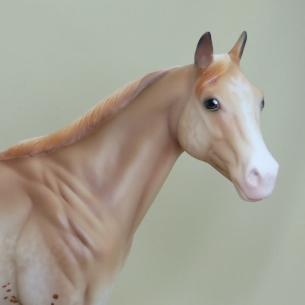 WHEATENA - OOAK Palomino Appaloosa Stock Horse Mare 4/15