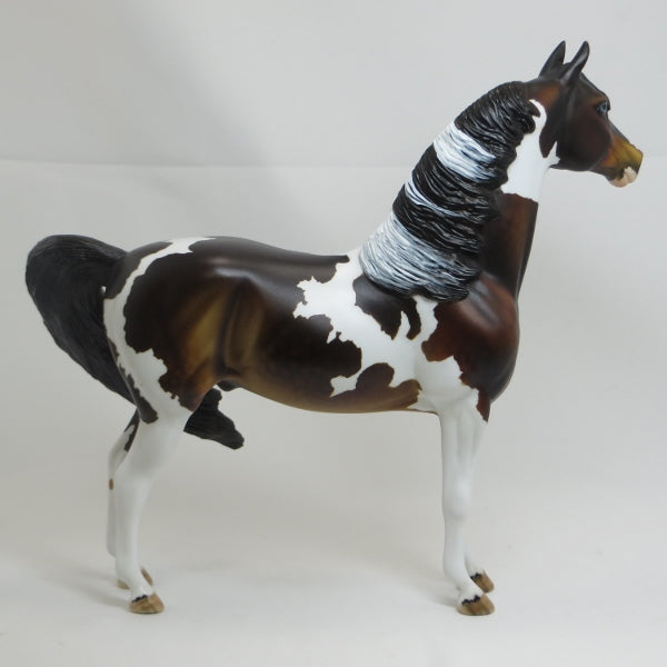 BOYHOOD - OOAK Seal Bay Tobiano Pinto Morgan 2/15