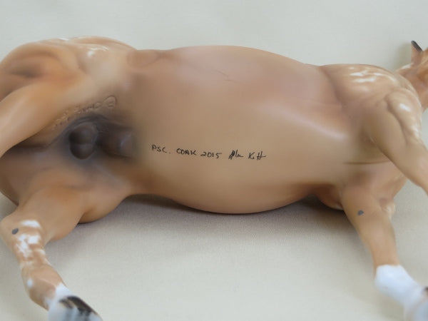 HATCH - OOAK Palomino Appaloosa Stock Horse 3/15