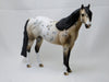 MONROE - OOAK Buckskin Appaloosa Stock Horse 2/15