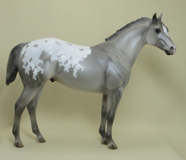 MOUSE TRAP - OOAK Gray Appaloosa Stock Horse 4/15
