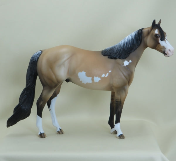 RAFFERTY - OOAK Dapple Frosty Dun Stock Paint 3/15