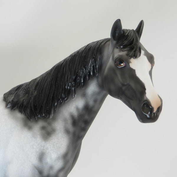 BOSTON POPS - OOAK Scraggly Mane Appaloosa Stock Horse 5/15