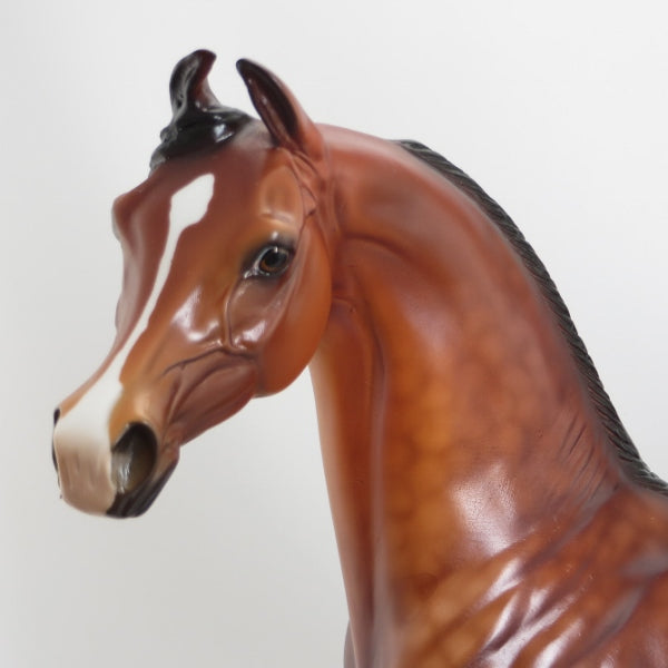 RATHORE - Extreme Dapples Bay Marwari Arabian Model Horse - LE4 - 5/15