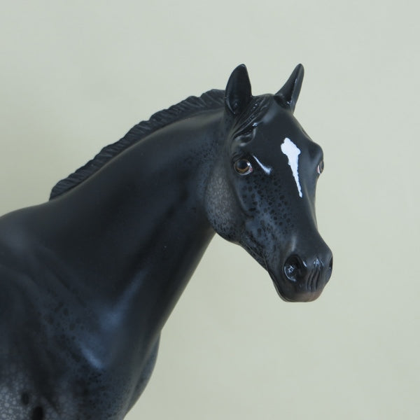 STORM OVER INDIANA - OOAK Black Appaloosa Stock Horse 3/15