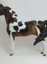 BOYHOOD - OOAK Seal Bay Tobiano Pinto Morgan 2/15