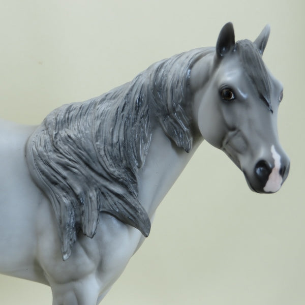 BONKERS - OOAK Dapple Gray Stock Horse - 4/15