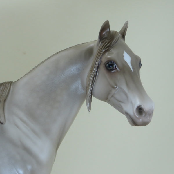 LUCKY STRIKE - OOAK Dapple Champagne Stock Horse 4/15
