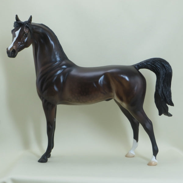 L & M - OOAK Dapple Seal Bay Arabian with Listening Ear - 4/15