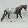 GROUSELAND - OOAK Unique Appaloosa Palouse 4/15