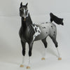 GARFIELD - OOAK Gray Appaloosa Pinto Arabian 2/15