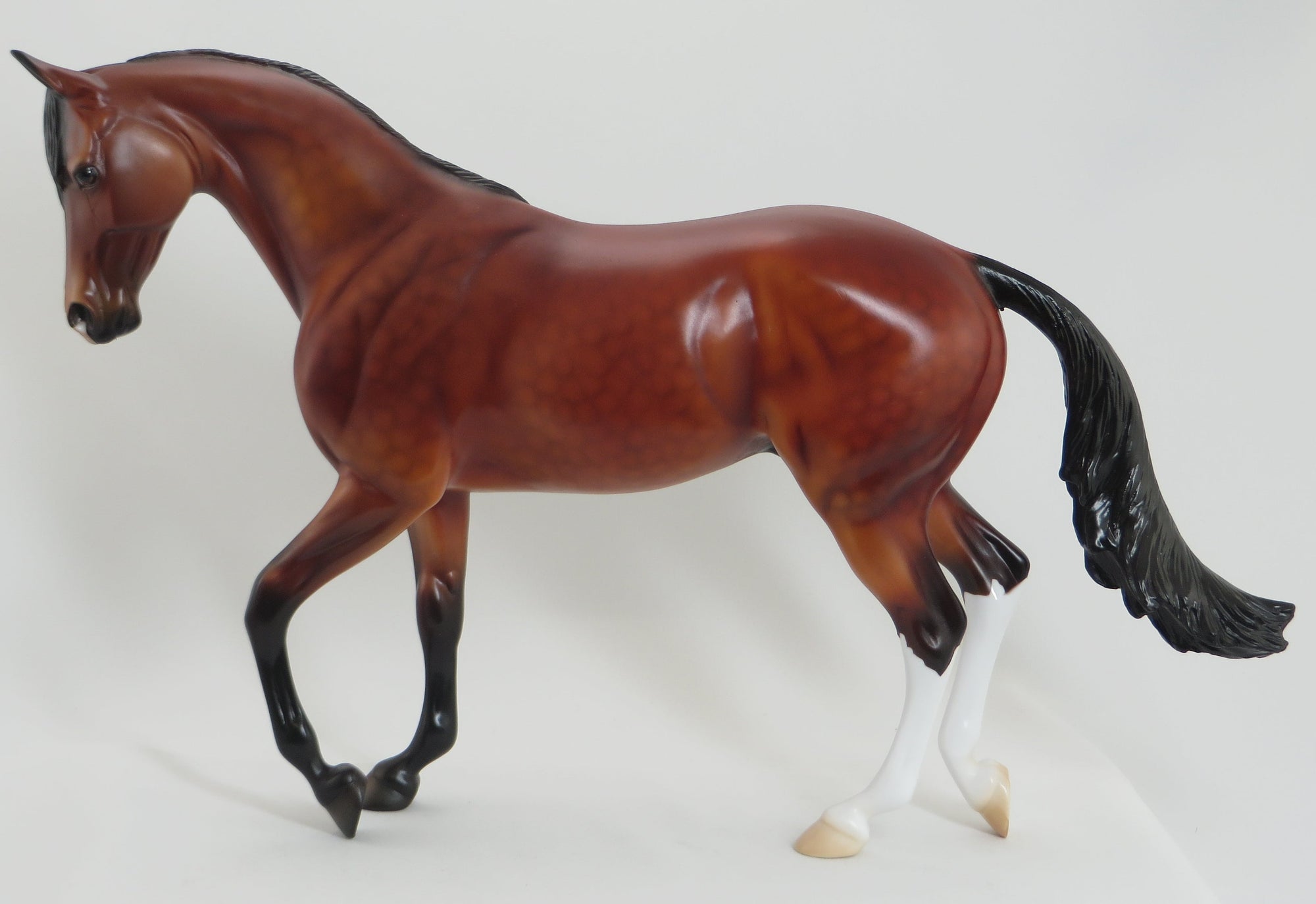 NOVA REGAL - OOAK Dappled Bay Thoroughbred 5/15