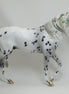 THE THEORY OF EVERYTHING - OOAK Appaloosa Thoroughbred with Delicate Flowers & Ribbons - 2/15
