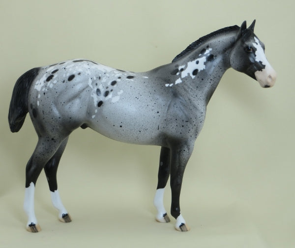 PARLIAMENT - OOAK Appaloosa Stock Horse with Ratty Mane