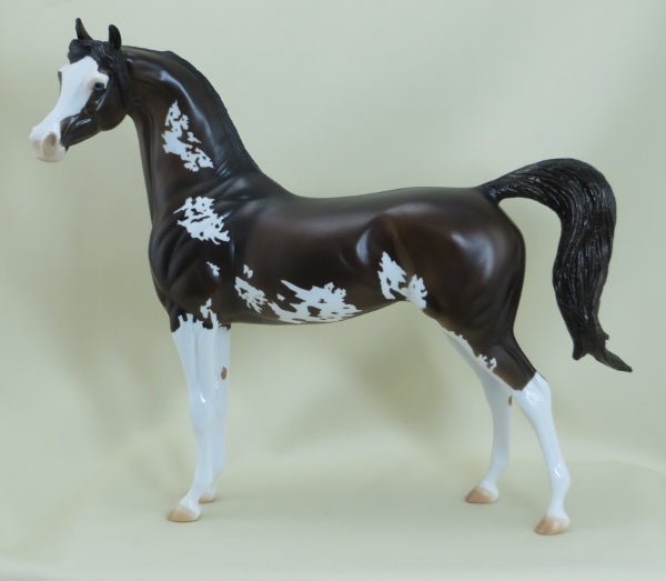PLUNKETT - OOAK Dark Bay Pinto Arabian 3/15