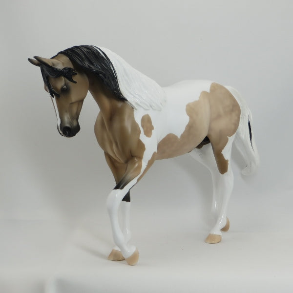 FIVE STAR - OOAK Dapple Buckskin Pinto Thoroughbred by D&#39;Array Jone Frank - 5/15