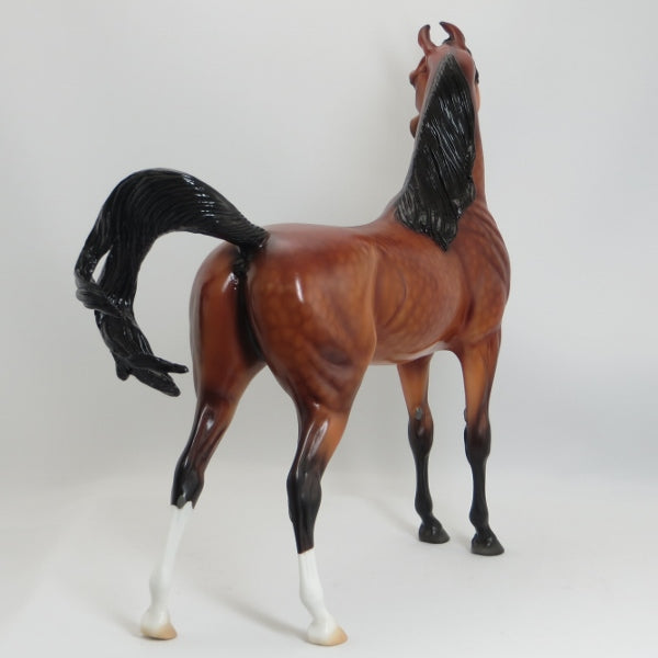 RATHORE - Extreme Dapples Bay Marwari Arabian Model Horse - LE4 - 5/15