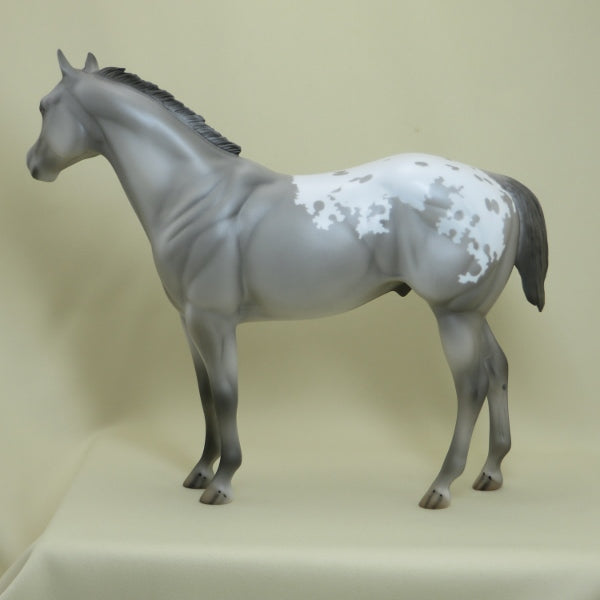 MOUSE TRAP - OOAK Gray Appaloosa Stock Horse 4/15