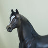 SMORZ - OOAK Dapple Seal Bay Morgan Model Horse -  4/15