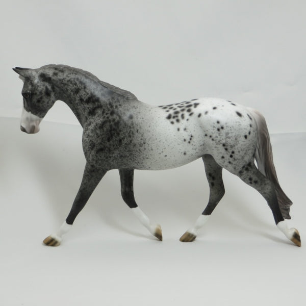 GROUSELAND - OOAK Unique Appaloosa Palouse 4/15