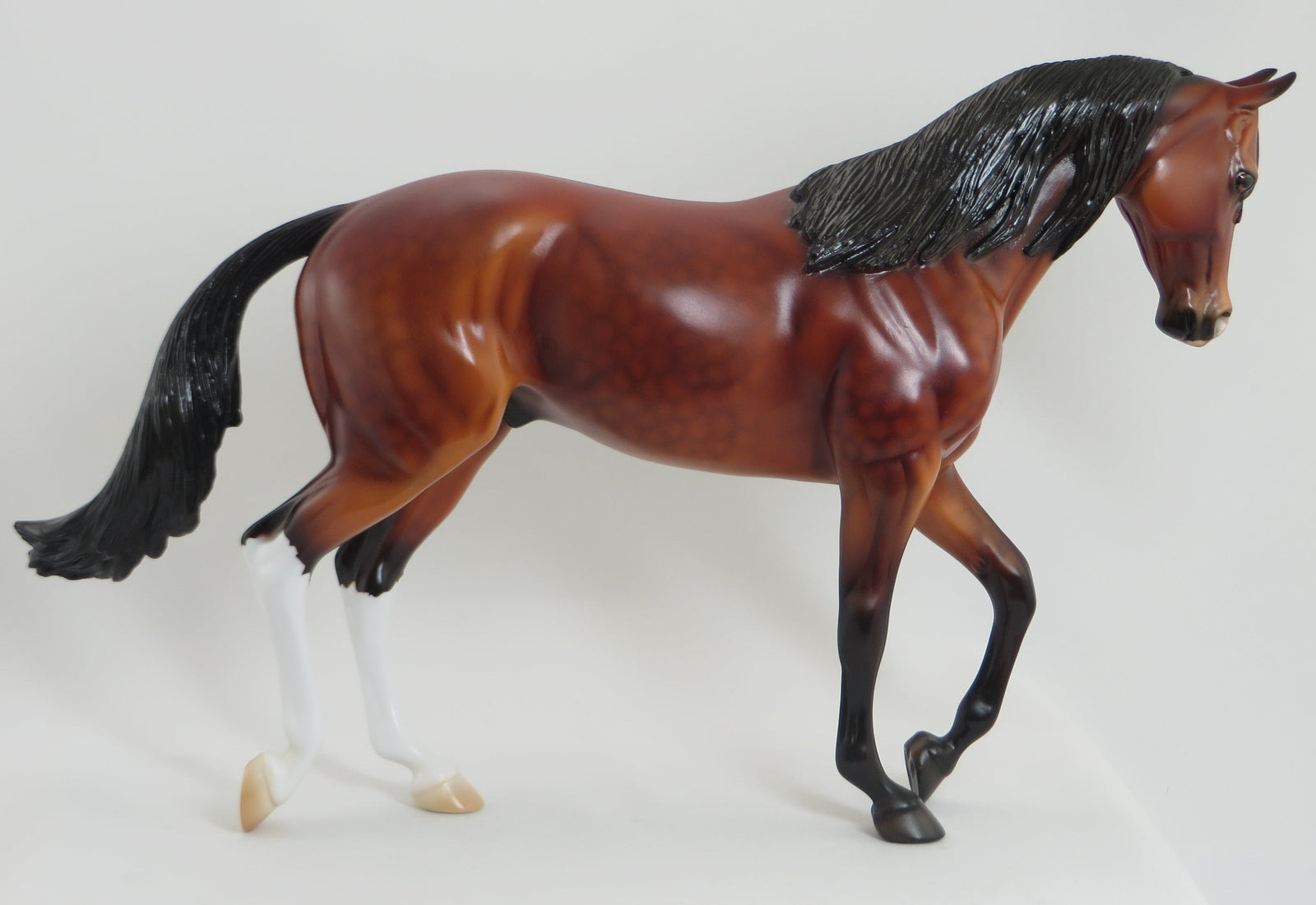 NOVA REGAL - OOAK Dappled Bay Thoroughbred 5/15