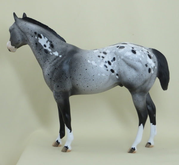 PARLIAMENT - OOAK Appaloosa Stock Horse with Ratty Mane