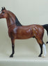 APPLE JACK - OOAK Dapple Bay Morgan 4/15