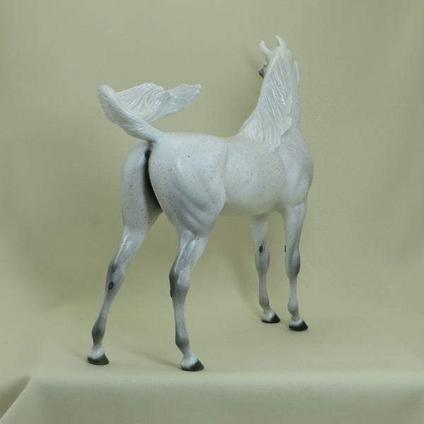 Boot Scootin' Boogie - 2015 Country Fair Fleabit Arabian Model Horse - LE45 - 4/15
