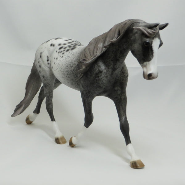 GROUSELAND - OOAK Unique Appaloosa Palouse 4/15