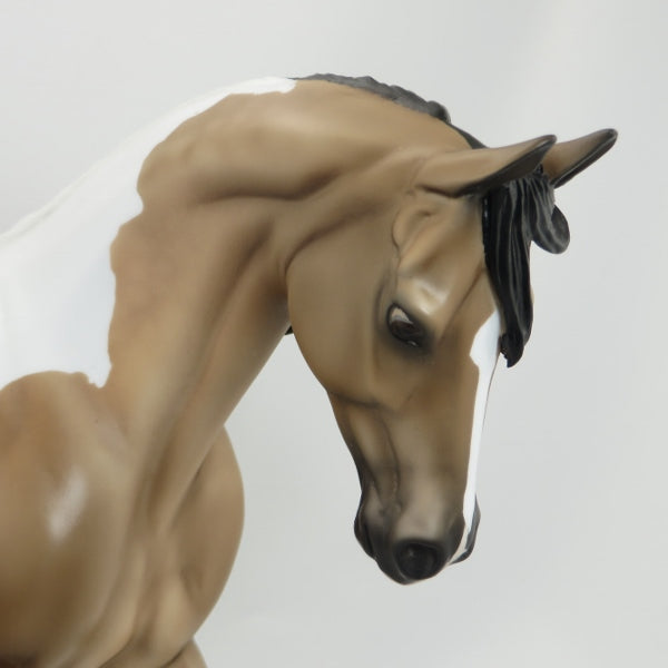 FIVE STAR - OOAK Dapple Buckskin Pinto Thoroughbred by D&#39;Array Jone Frank - 5/15