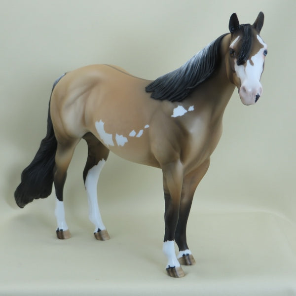 RAFFERTY - OOAK Dapple Frosty Dun Stock Paint 3/15