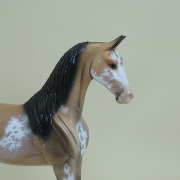 HAWLEY - OOAK Buckskin Sabino Pinto Saddlebred Pebbles 4/15