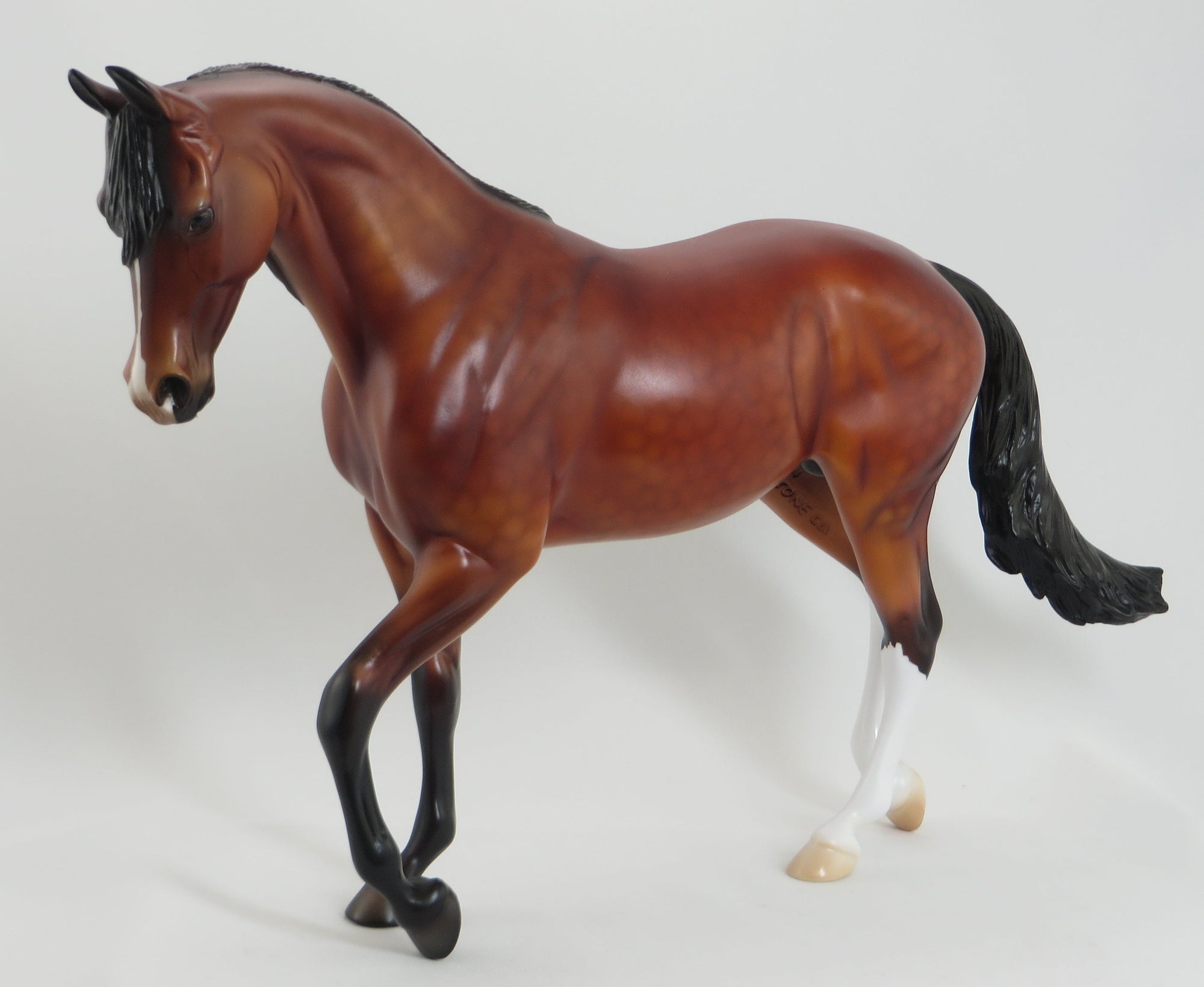 NOVA REGAL - OOAK Dappled Bay Thoroughbred 5/15