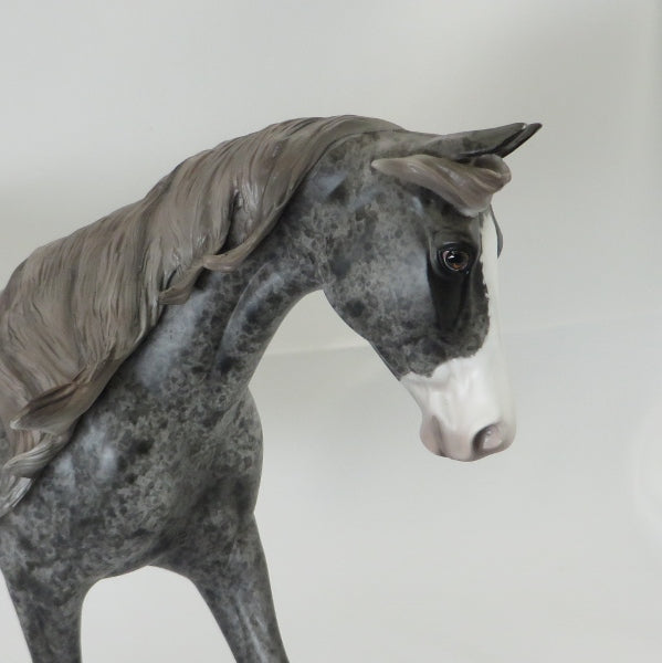 GROUSELAND - OOAK Unique Appaloosa Palouse 4/15