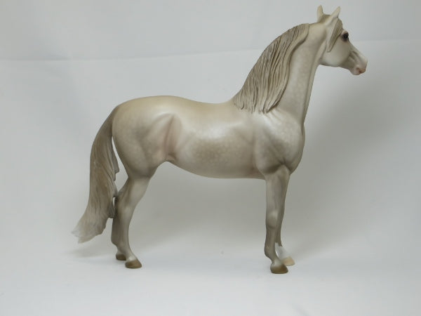 MARY TODD LINCOLN - Dapple Pearly Champagne Morgan LE4 2/15